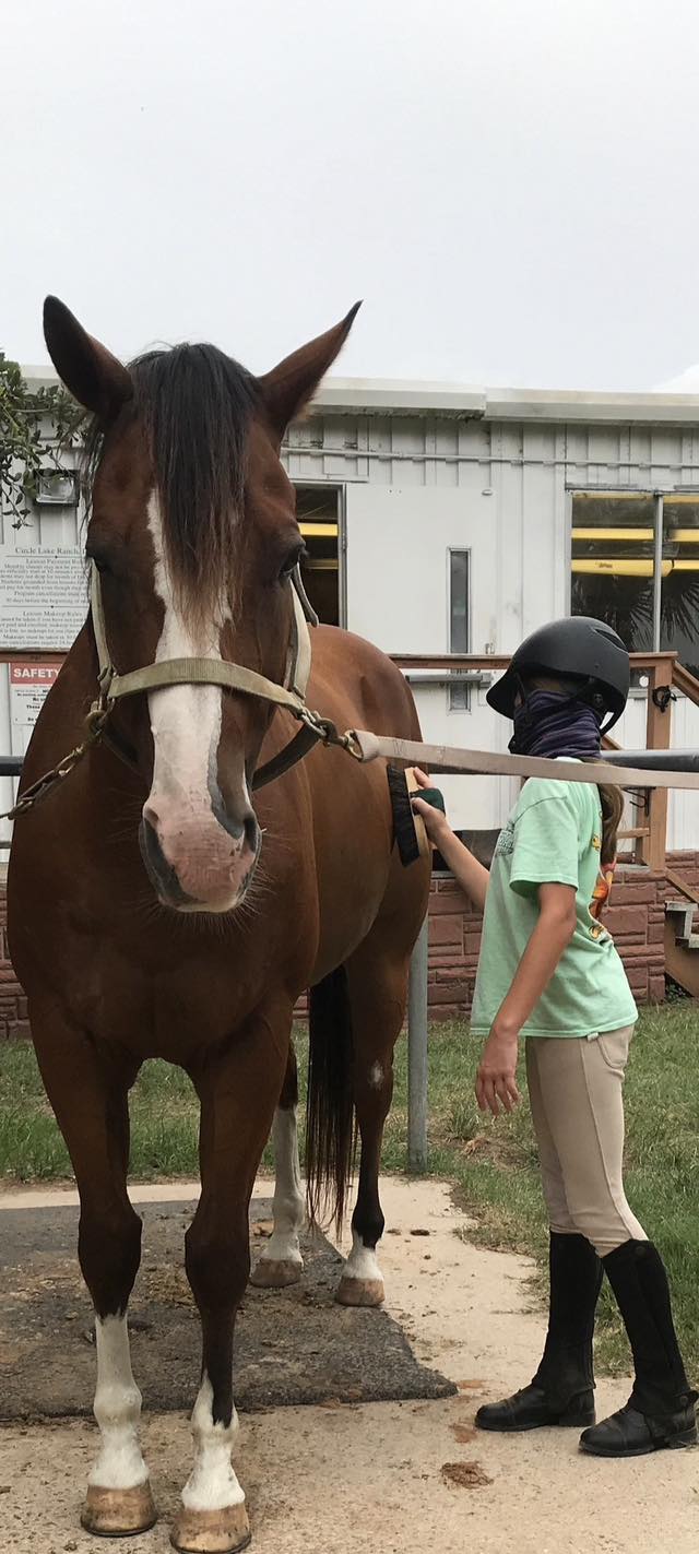 Camper learning to groom horse during summer camp
