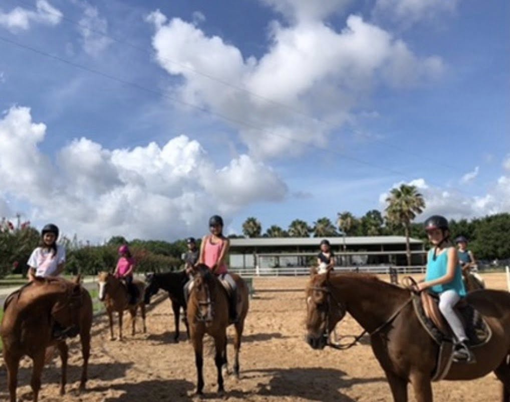 Group riding lesson with multiple students in arena