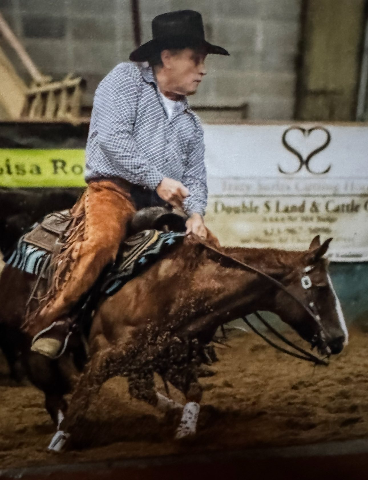 MyDrive 2014 Sorrel Mare for sale at Circle Lake Ranch Katy Texas - Photo 5