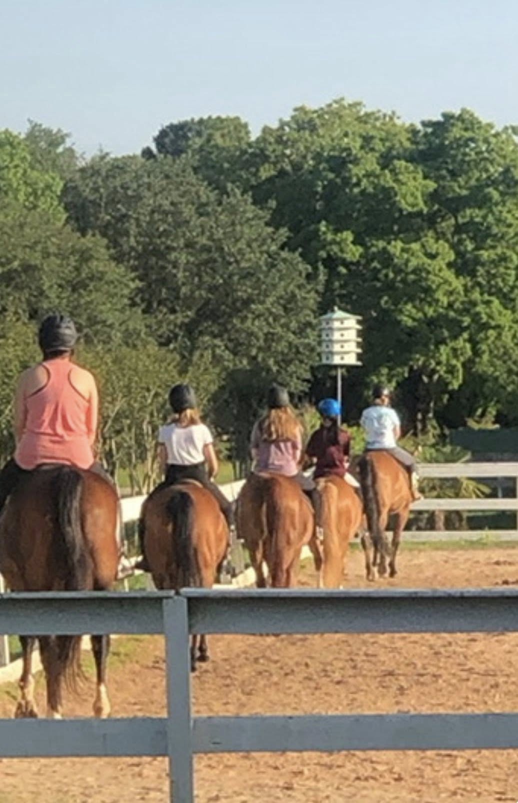 Trail ride through Circle Lake Ranch property in Katy